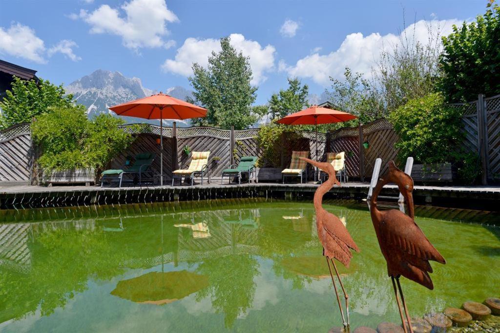 Appartamento Alpenresidenz Unterrainer Ellmau Esterno foto